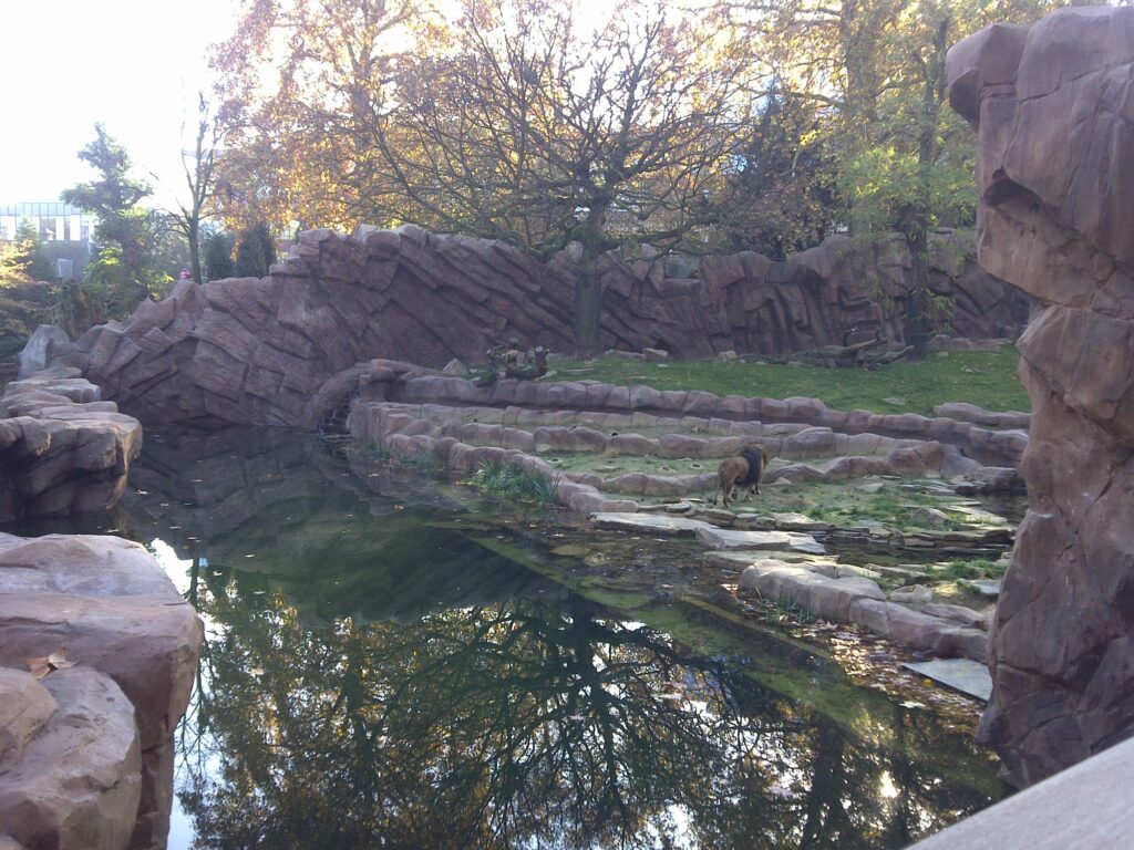 Aanleg dierenverblijven Zoo Antwerpen